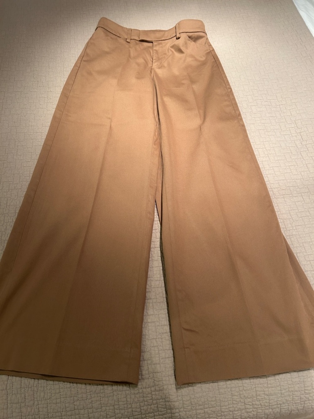 Banana Republic Tan Suit Pants